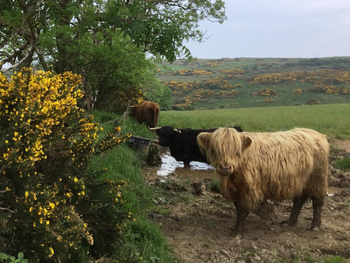 Chapelhill Hideaway Isle Of Bute Licence Ar00654F Lägenhet Rothesay Exteriör bild